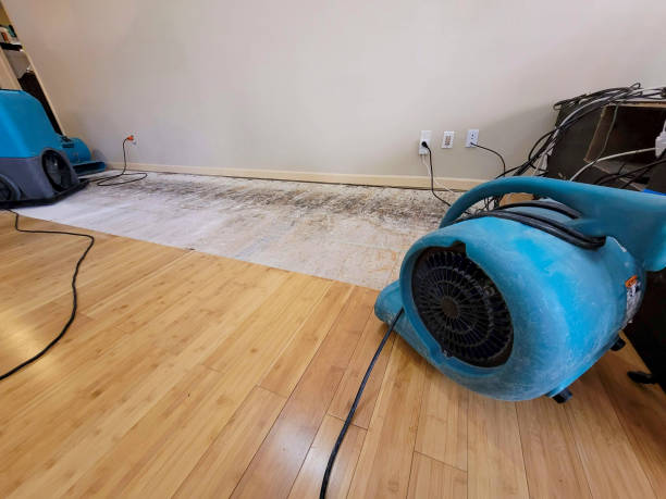 Professional Sewage Cleanup technician working in Crompond, NY